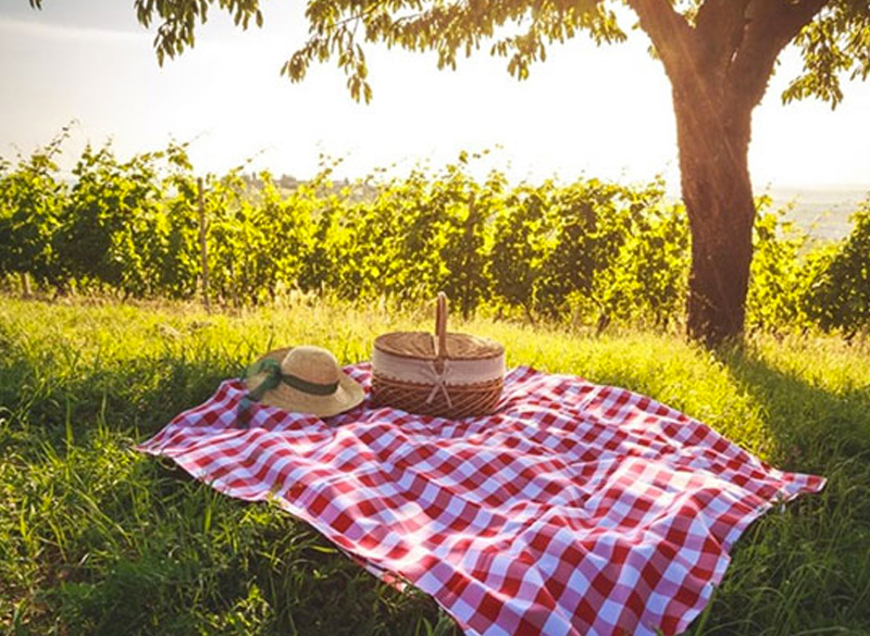 Degustazione Vino Cesani