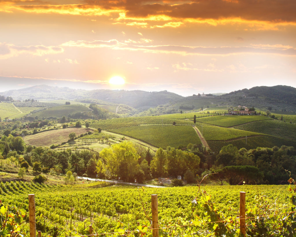 Nei dintorni di San Gimignano