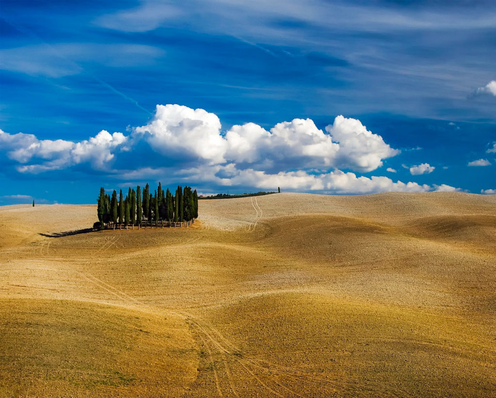 Nei dintorni di San Gimignano