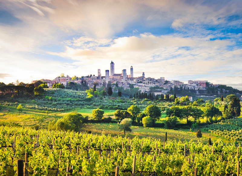 Visite guidate a San Gimignano